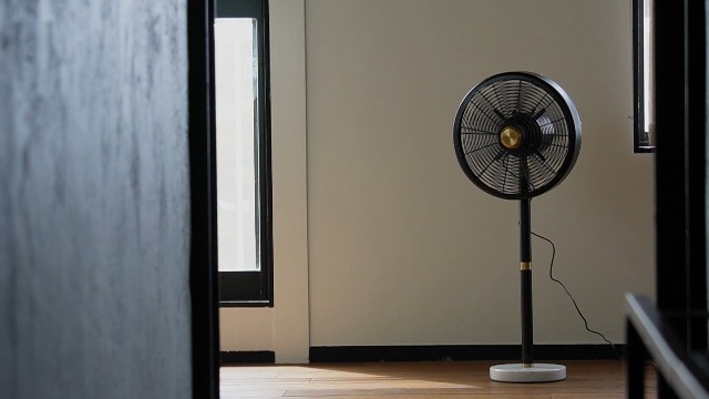Amazon | ハモサ HERMOSA ファン 扇風機 RFM-001 マーブルファン
